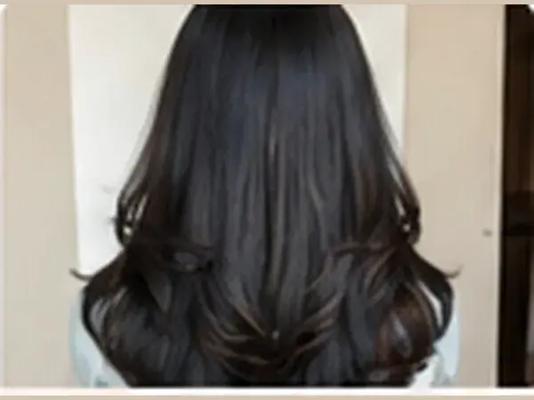 Butterfly Haircut guide