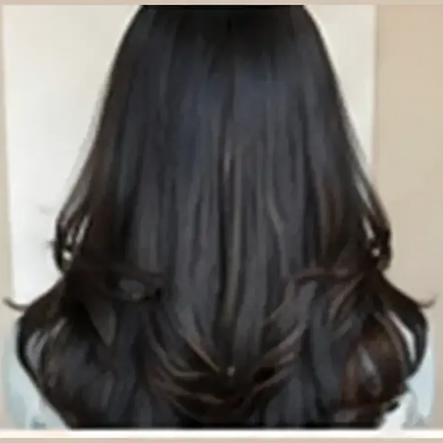 Butterfly Haircut at Looks Unisex Salon Asansol