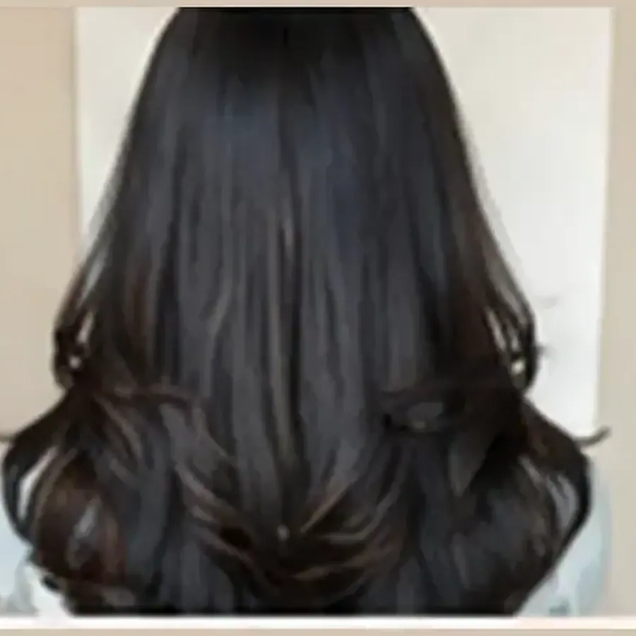 Butterfly Haircut at Looks Unisex Salon Asansol