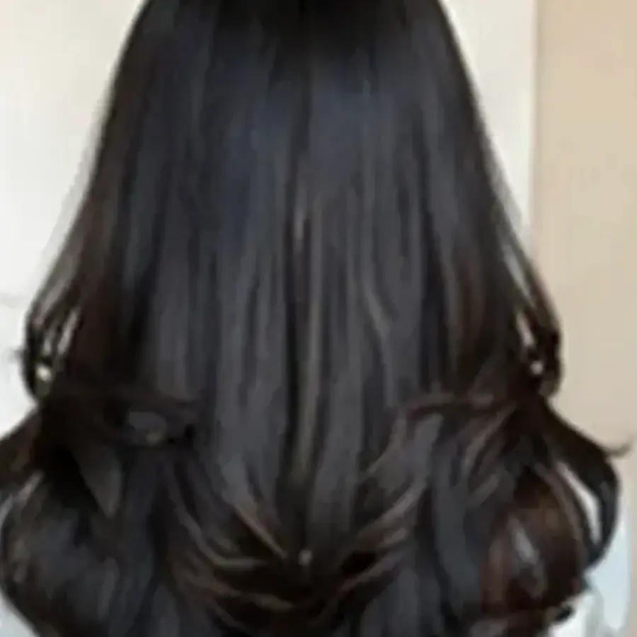 Butterfly Haircut at Looks Unisex Salon Asansol
