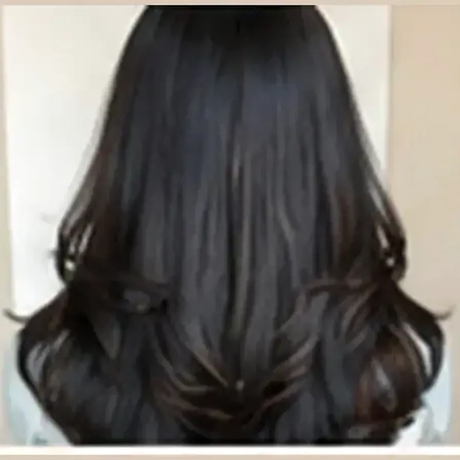 Butterfly Haircut at Looks Unisex Salon Asansol