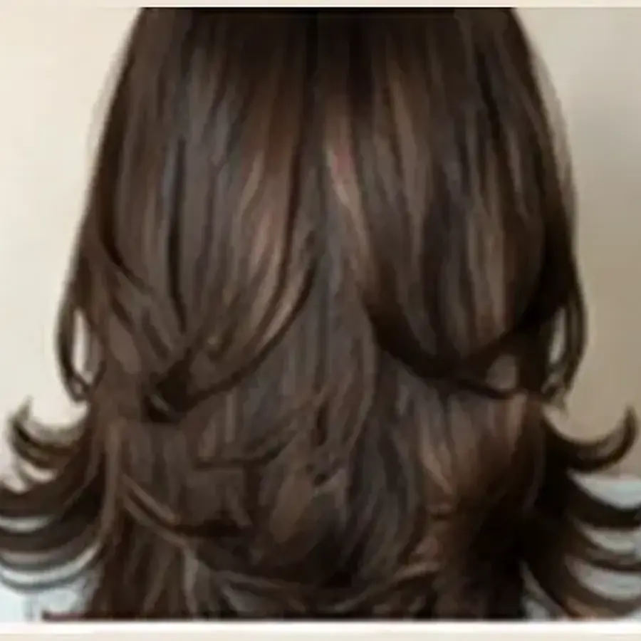 Step Cut at Looks Unisex Salon Asansol