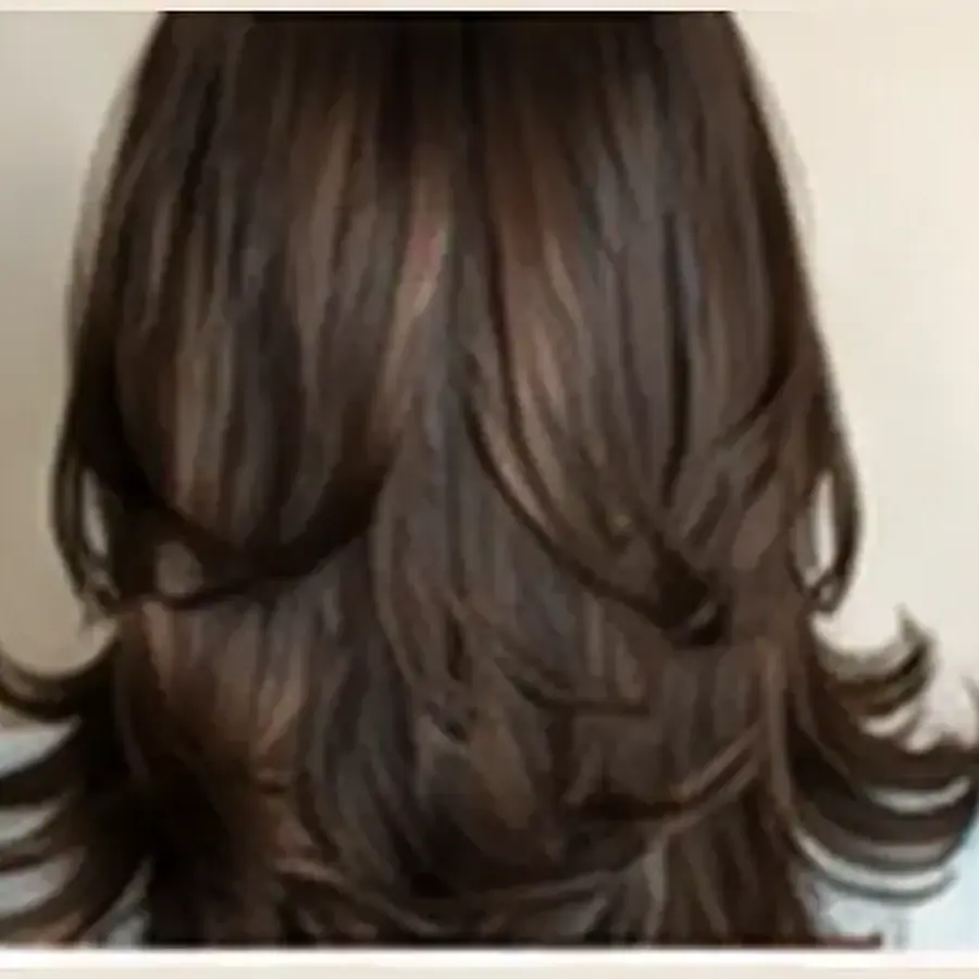 Step Cut at Looks Unisex Salon Asansol