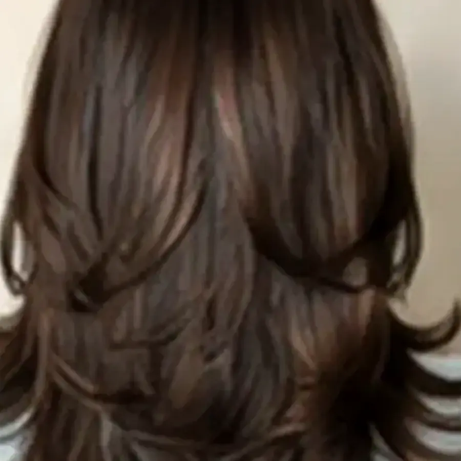 Step Cut at Looks Unisex Salon Asansol